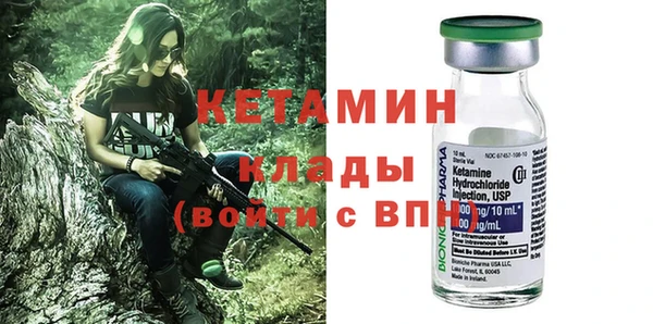 сатива Дмитриев