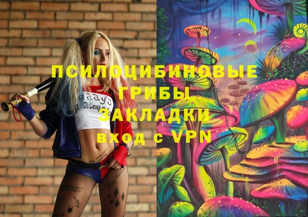 сатива Дмитриев