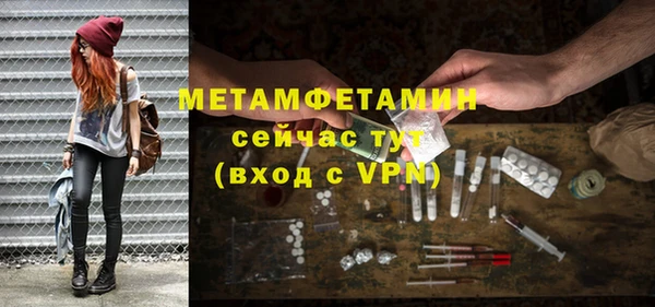 сатива Дмитриев