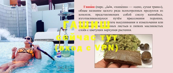 сатива Дмитриев