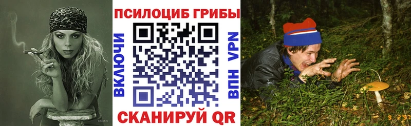 Галлюциногенные грибы Magic Shrooms  Купить закладки  Славск 